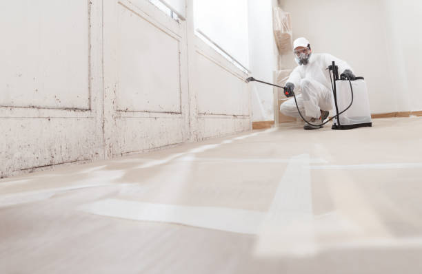 24/7 Emergency Mold Remediation experts in Long Branch, NJ